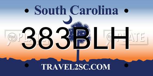 383BLH South Carolina License Plate
