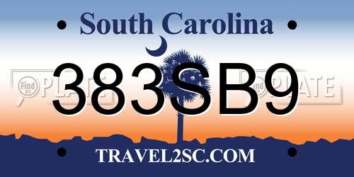 383SB9 South Carolina License Plate