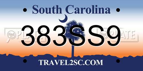 383SS9 South Carolina License Plate
