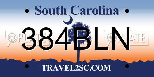 384BLN South Carolina License Plate