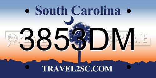 3853DM South Carolina License Plate