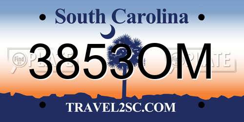 3853OM South Carolina License Plate