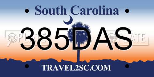 385DAS South Carolina License Plate