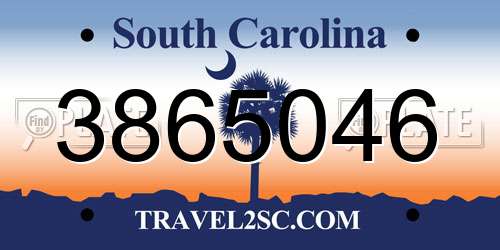 3865046 South Carolina License Plate