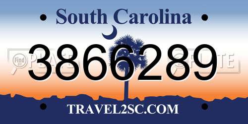 3866289 South Carolina License Plate
