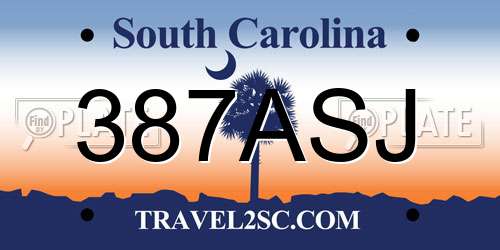 387ASJ South Carolina License Plate