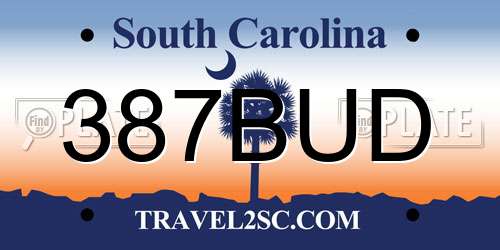 387BUD South Carolina License Plate