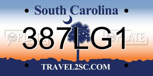 387LG1 South Carolina License Plate