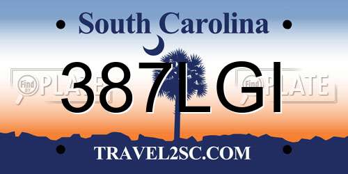 387LGI South Carolina License Plate