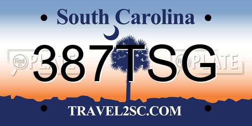 387TSG South Carolina License Plate