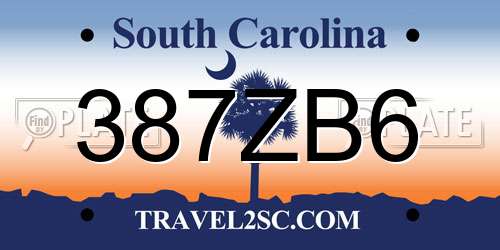 387ZB6 South Carolina License Plate