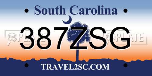 387ZSG South Carolina License Plate