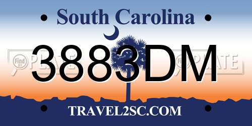 3883DM South Carolina License Plate