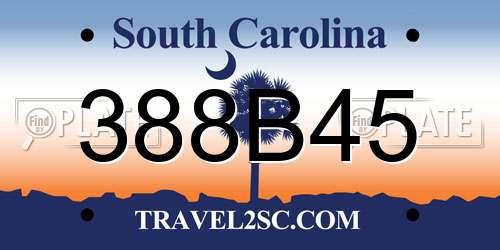 388B45 South Carolina License Plate