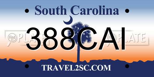 388CAI South Carolina License Plate