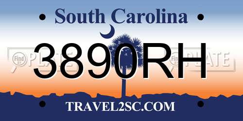 3890RH South Carolina License Plate
