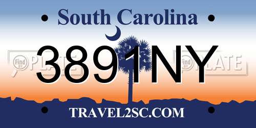 3891NY South Carolina License Plate