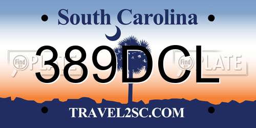 389DCL South Carolina License Plate