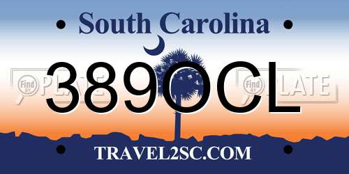 389OCL South Carolina License Plate