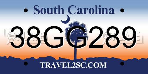 38GG289 South Carolina License Plate