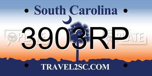 3903RP South Carolina License Plate