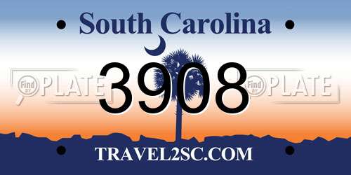 3908 South Carolina License Plate