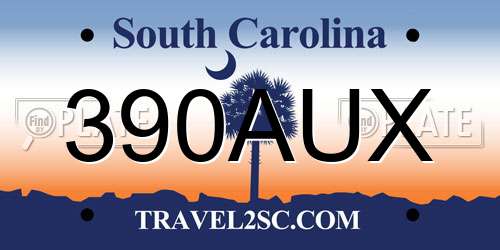 390AUX South Carolina License Plate
