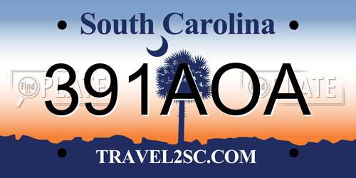 391AOA South Carolina License Plate