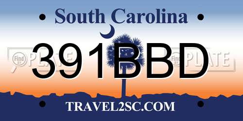 391BBD South Carolina License Plate