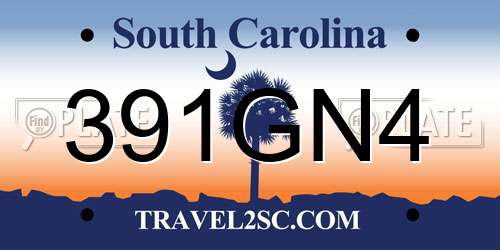 391GN4 South Carolina License Plate