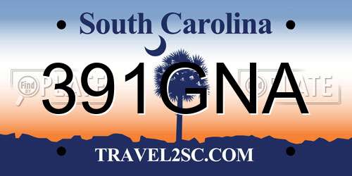 391GNA South Carolina License Plate