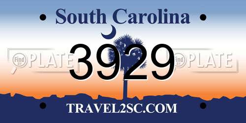3929 South Carolina License Plate