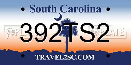 392TS2 South Carolina License Plate
