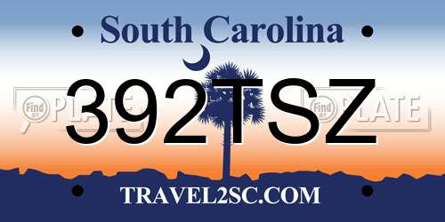 392TSZ South Carolina License Plate