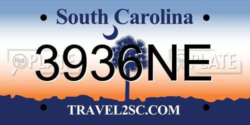 3936NE South Carolina License Plate