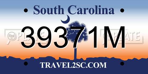 39371M South Carolina License Plate