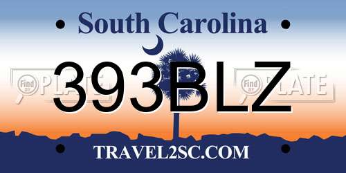 393BLZ South Carolina License Plate