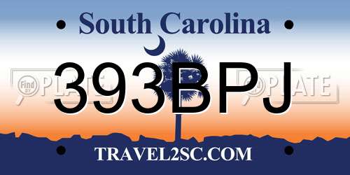393BPJ South Carolina License Plate