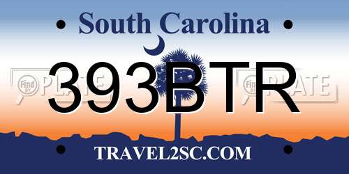 393BTR South Carolina License Plate