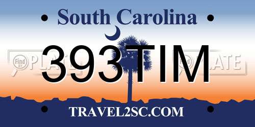 393TIM South Carolina License Plate