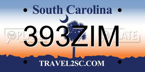393ZIM South Carolina License Plate