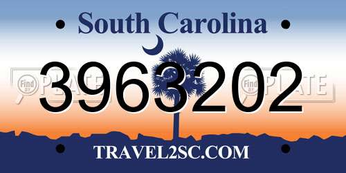 3963202 South Carolina License Plate