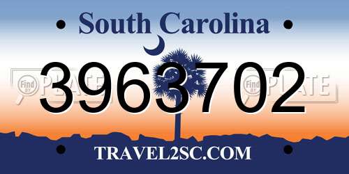 3963702 South Carolina License Plate