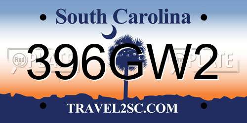 396GW2 South Carolina License Plate