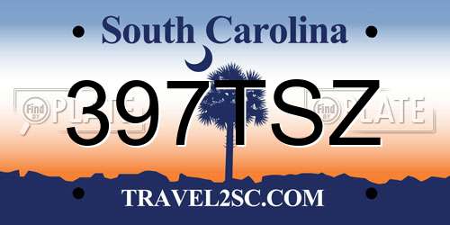 397TSZ South Carolina License Plate
