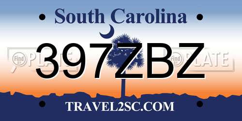 397ZBZ South Carolina License Plate