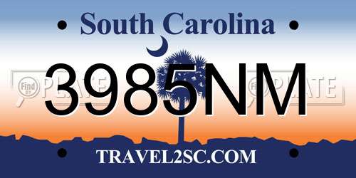 3985NM South Carolina License Plate