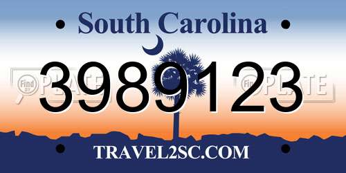 3989123 South Carolina License Plate