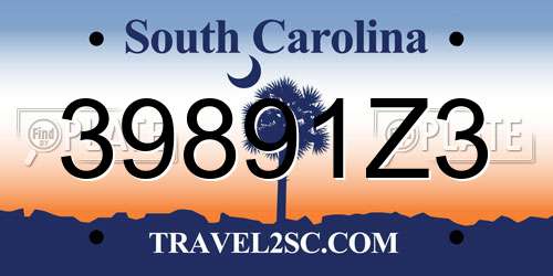 39891Z3 South Carolina License Plate