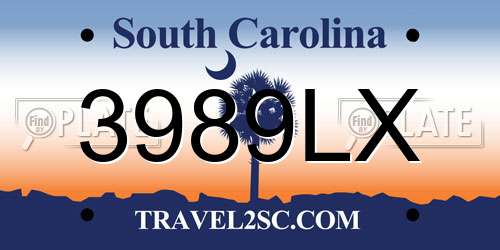 3989LX South Carolina License Plate